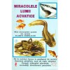 - Miracolele lumii acvatice. De la rechinul feroce la pestisorul de