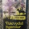 Voievodul tiganilor ? Jokai Mor