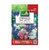 Seminte flori Amia - Campanula simplu, mix culori