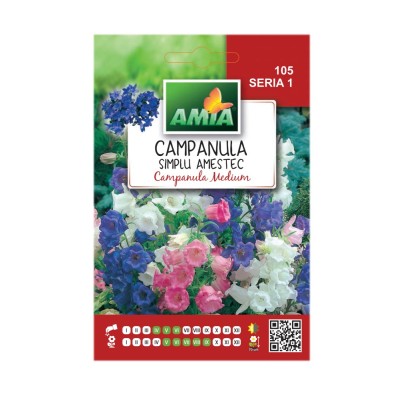 Seminte flori Amia - Campanula simplu, mix culori foto