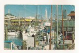 FA81 -Carte Postala- SUA - San Francisco, Fishermans Wharf, circulata 1981