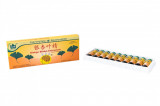 GINKGOBILOBA 10FL*10ML (YK)