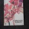 CARNAVALUL FLORILOR - SILVIA C. NEGRU