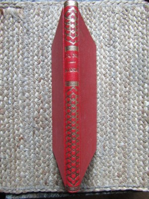 Meandre - Fl. N. Nastase foto