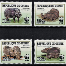 GUINEEA 2009 - Fauna WWF, Porci salbatici/ serie completa MNH