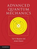 Advanced Quantum Mechanics: A Practical Guide