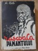 Răscoala Păm&acirc;ntului: Istoria Luptelor Politice ale Țărănimii Rom&acirc;ne 1933-1945 - Gh. Micle, Petru Groza (1945, Frontul Plugarilor)