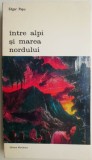 Cumpara ieftin Intre Alpi si Marea Nordului - Edgar Papu - Roman Beletristica