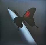 Post Malone Twelve Carat Toothace Yellow Opaque Lemon Yellow LP Indies (vinyl)