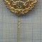 AX 241 INSIGNA -TURISM MONTAN - DRUMETIE MONTANA- ,,DWB&quot; 200 -FRUMOASA