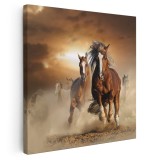 Tablou cai alergand in nor de praf, maro 1410 Tablou canvas pe panza CU RAMA 80x80 cm