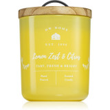 DW Home Farmhouse Lemon Zest &amp; Citrus lum&acirc;nare parfumată 264 g