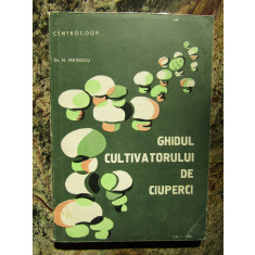 Ghidul cultivatorului de ciuperci - N. Mateescu