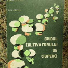 Ghidul cultivatorului de ciuperci - N. Mateescu
