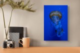 Tablou Canvas, "Dansul silențios al meduzei albastre", Jellyfish, Albastru, Ocean, Grație, Luminiscență, Tentacule, Acvatic, Eteric, Ad&acirc;ncuri, Delicat