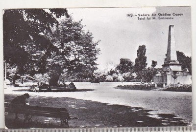 bnk cp Iasi - Vedere din Gradina Copou . Teiul lui Eminescu - uzata foto