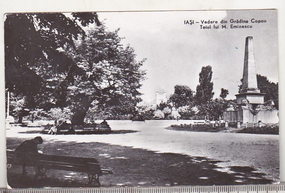 bnk cp Iasi - Vedere din Gradina Copou . Teiul lui Eminescu - uzata