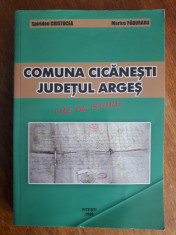 Monografia Comunei Cicanesti din Arges / R7P2F foto