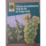 TAIEREA SI CONDUCEREA VITEI DE VIE PE LANGA CASA-TEODOR MARTIN-266540