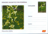 Intreg postal CP nec.2007 - Flori - orhidee salbatice - Platanthera Bifolia