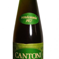 A 110-Vin ALB MILLER THURGAU, CANTONI DI TRECESIMO cl 72 gr 13,2 recoltare 1977