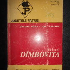 Dragos Buga, Ion Zavoianu - Dambovita (colectia Judetele Patriei)