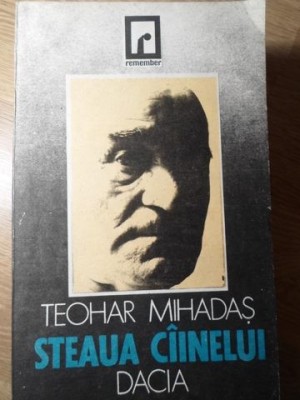 STEAUA CAINELUI-TEOHAR MIHADAS-234166 foto