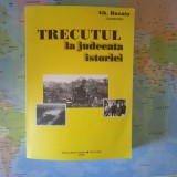 Trecutul la judecata istoriei, Gheorghe Buzatu
