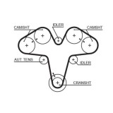 Curea distributie Alfa Romeo: 147 (937), 156 (932), 166 (936), Gt (937), Gtv (916), Spider (916); Lancia: Kappa (838), Thesis (841), 3.2 GTA, 2.5 V6