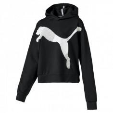 Bluza Puma MODERN SPORT HOODY foto