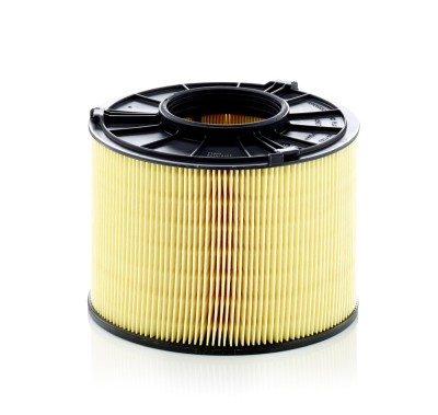 MANN-FILTER C 17 012/1 Filtru aer foto
