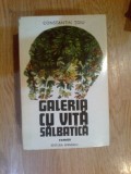 N4 Galeria cu vita salbatica - Constantin Toiu