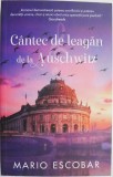Cantec de leagan de la Auschwitz - Mario Escobar - Roman Beletristica