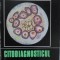 CITODIAGNOSTICUL PRIN PUNCTIE IN PRACTICA MEDICALA-GEORGE POPA-235544