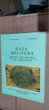 BAZA MELIFERA - CLASA A XI A APICULTOR AGRICOL MARIA O MANISOR ELENA HOCIOTA