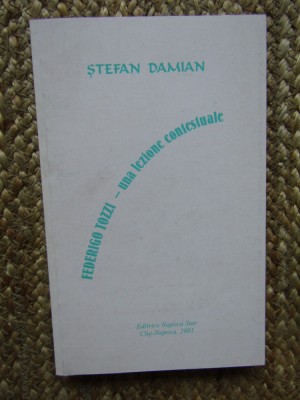STEFAN DAMIAN - FEDERIGO TOZZI UNA LEZIONE CONTESTUALE foto