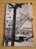QW23 B - Carte postala - tematica turism - vedere - Romania - Baile Amara 2, Circulata, Fotografie