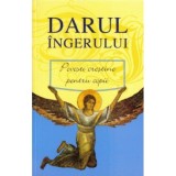 Darul Ingerului, - Editura Sophia