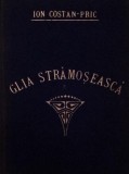 GLIA STRAMOSEASCA