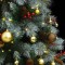 Foto  - 3