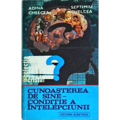 Adina Chelcea - Cunoasterea de sine, conditie a intelepciunii