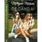 De cand ai plecat, Morgan Matson
