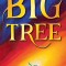 Big Tree