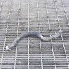 Furtun radiator răcire dreapta MERCEDES-BENZ C T-Model S204 OEM: A2045010982