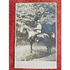 Fotografie tip carte postala, barbat la calarie, perioada interbelica