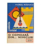 Viorel Raducu - O comoara din&hellip; nimicuri - Autodotari gospodaresti d