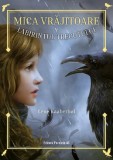 Mica vrajitoare. Labirintul trecutului Vol. 5 - Editura Paralela 45