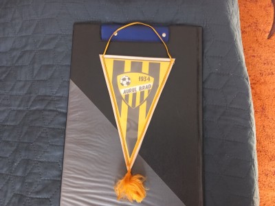 fanion Aurul Brad foto