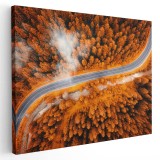 Tablou peisaj vedere aeriana padure toamna, maro, galben 1240 Tablou canvas pe panza CU RAMA 40x60 cm