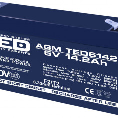 Acumulator AGM VRLA plumb acid 6V 14.2A 151x50xh95mm F2 TED Battery Expert Holland TED003034 5949258003034